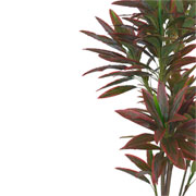 Árvore dracena toque real verde e vermelho 1,9 metros 