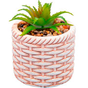 Cachepot em ceramica rattan com suculenta bege 07x09 cm 