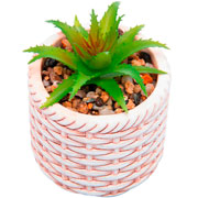 Cachepot em ceramica rattan com suculenta bege 07x09 cm 