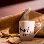 Caneca de porcelana Just Love 350 ml 